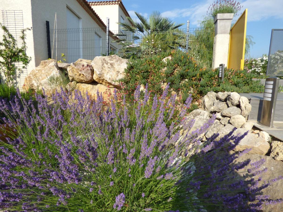 La villa du saule Salles-dʼAude Extérieur photo